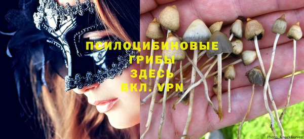 дурь Белокуриха