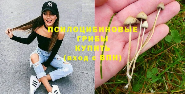 прущая мука Богданович